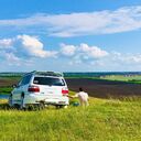 ���������� ����������, ���� ������� �������, 31 ���, ������������ ��� ������, ����� � ���������, c�������� ���������