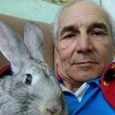  ,   , 57 ,   