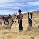  ,   Otto, 49 ,     , c 