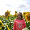  ,   , 44 ,   c 