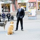 ���������� �������, ���� ������� ������, 38 ���, ������������ ��� ������, ����� � ���������, c�������� ���������