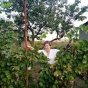  ,   , 58 ,   ,   