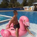 ���������� ����������, ���� ������� ����, 26 ���, ������������ ��� ������, ����� � ���������