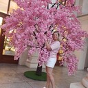 ���������� ���������, ���� ������� �����, 50 ���, ������������ ��� c�������� ���������