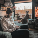 ���������� ������, ���� ������� ��������, 33 ����, ������������ ��� ����� � ���������, c�������� ���������