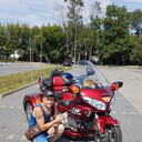  Grodzisk Wielkopolski,   , 54 ,     , c 