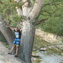 ���������� �����, ���� ������� �����, 38 ���, ������������ ��� ������, ����� � ���������, c�������� ���������