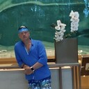 ���������� �����, ���� ������� �������, 56 ���, ������������ ��� ����� � ���������, c�������� ���������