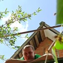 ���������� �����, ���� ������� ���������, 38 ���, ������������ ��� ������, ����� � ���������, c�������� ���������