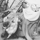 ���������� ������, ���� ������� Alexander, 32 ����, ������������ ��� ����� � ���������, c�������� ���������, ���������