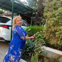  ,   , 50 ,   ,   