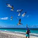 ���������� �����, ���� ������� ���������, 32 ����, ������������ ��� ������, ����� � ���������