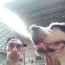  ,   , 52 ,   ,   