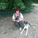  ,   , 55 ,   ,   , c 
