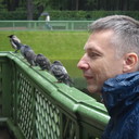 ���������� ������, ���� ������� ������, 55 ���, ������������ 