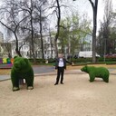 ���������� ������, ���� ������� ������, 38 ���, ������������ ��� ������, ����� � ���������