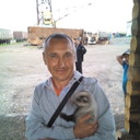  ,   , 45 ,   