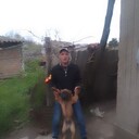  ,   , 41 ,   ,   