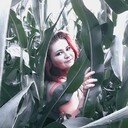 ���������� ����, ���� ������� �����, 27 ���, ������������ ��� ���������