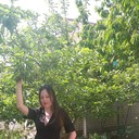 ���������� ����, ���� ������� ����, 48 ���, ������������ ��� ������, ����� � ���������, c�������� ���������