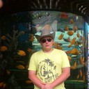 ���������� �����������-��-�����, ���� ������� ����, 36 ���, ������������ ��� ������, ����� � ���������, c�������� ���������, ���������