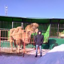 ���������� ������ ��������, ���� ������� �����, 36 ���, ������������ 