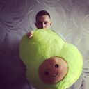 ���������� �������, ���� ������� �����, 27 ���, ������������ ��� ������, ����� � ���������, c�������� ���������