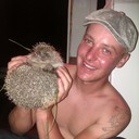  -,   , 33 ,   ,   , c 