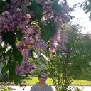  ,   , 53 ,   c 