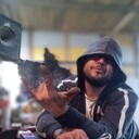  -,   , 33 ,     , c , 