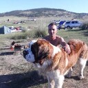 ���������� �������, ���� ������� ��������, 48 ���, ������������ ��� ����� � ���������, c�������� ���������, ���������