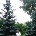  -,   , 54 ,   ,   , c 