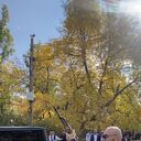 ���������� �����, ���� ������� �������, 28 ���, ������������ ��� ������, ����� � ���������, c�������� ���������