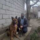  ,   , 41 ,   ,   , c 
