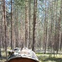  ,   , 44 ,   ,   