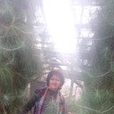  ,   , 62 ,  