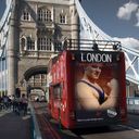 ���������� ��������, ���� ������� �����, 41 ���, ������������ ��� ������, ����� � ���������, c�������� ���������