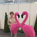  ,   , 53 ,   ,   , c 