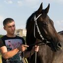 ���������� �������, ���� ������� Anzor, 31 ���, ������������ ��� ������, ����� � ���������, ���������