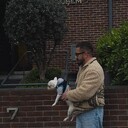 ���������� ������, ���� ������� �������, 35 ���, ������������ ��� ������, ����� � ���������, c�������� ���������, ���������