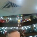 ���������� �������, ���� ������� �����, 44 ����, ������������ ��� ����� � ���������, c�������� ���������