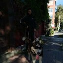 ���������� ������������, ���� ������� ��� �������, 38 ���, ������������ ��� ������, ����� � ���������, c�������� ���������