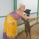 ���������� ����������, ���� ������� ��������, 43 ����, ������������ ��� ������, ���������