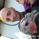 ���������� �����, ���� ������� ���������, 44 ����, ������������ ��� ������, ����� � ���������