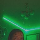 ���������� ������, ���� ����� ������, 24 ����, ������������ ��� ������, ����� � ���������