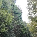  -,   , 45 ,     , c 