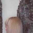 ���������� �����������, ���� ������� ���, 52 ����, ������������ ��� ����� � ���������, c�������� ���������