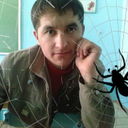 ���������� �����, ���� ������� Feruz, 37 ���, ������������ ��� ������, ����� � ���������, c�������� ���������, ���������