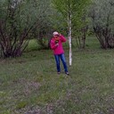  ,   , 53 ,   ,   , c , 