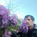 ���������� ������, ���� ������� ��������, 44 ����, ������������ ��� ������, ����� � ���������, c�������� ���������, ���������